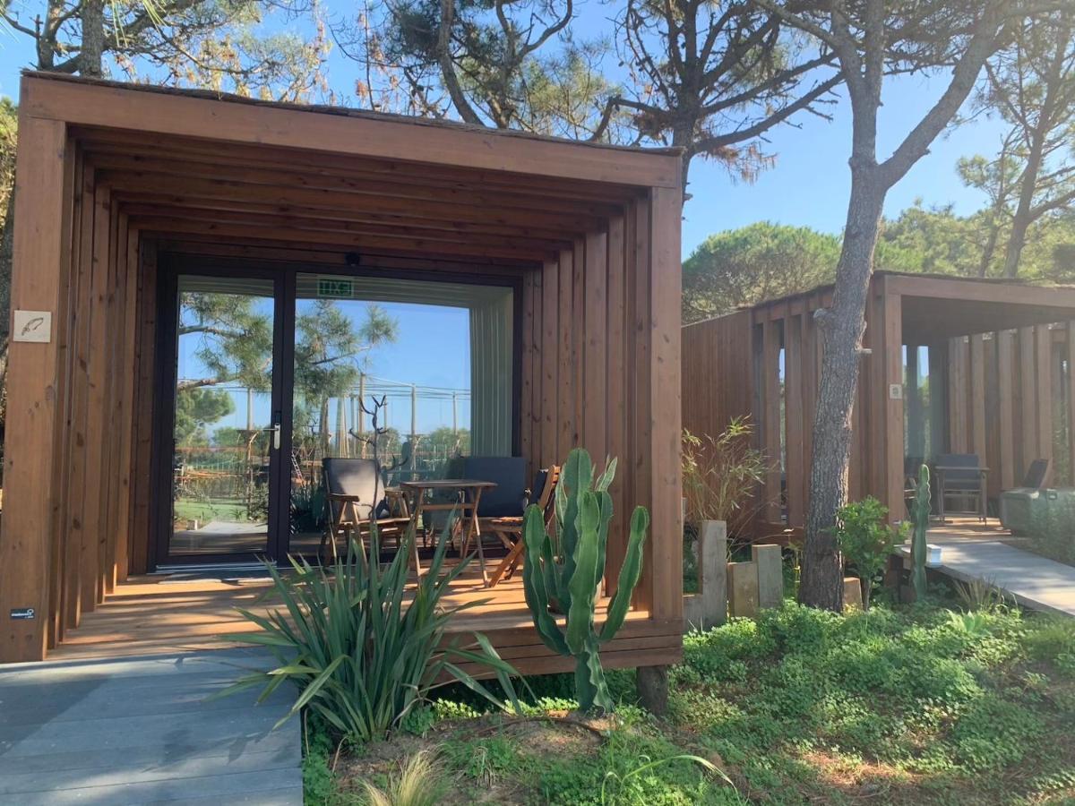 Azen Cool House Bed and Breakfast Azenhas do Mar Buitenkant foto